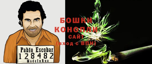 ГАЛЛЮЦИНОГЕННЫЕ ГРИБЫ Лихославль