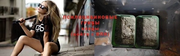 ГАЛЛЮЦИНОГЕННЫЕ ГРИБЫ Лихославль