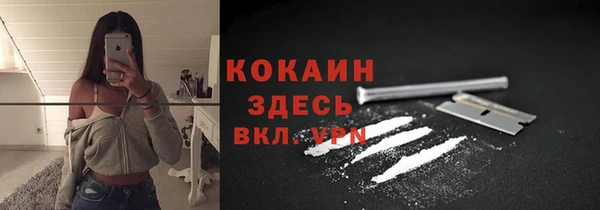 apvp Лиски
