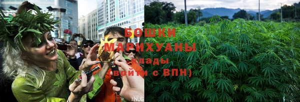 apvp Лиски