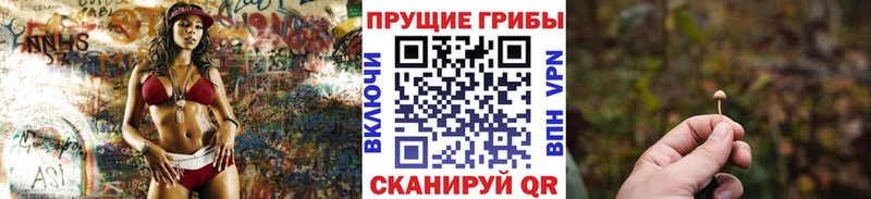 Галлюциногенные грибы Cubensis  omg зеркало  Краснообск  магазин  наркотиков 